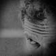 8279-images1.jpg, 1 KB